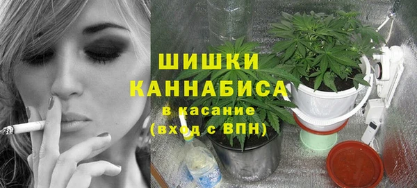 ECSTASY Заводоуковск