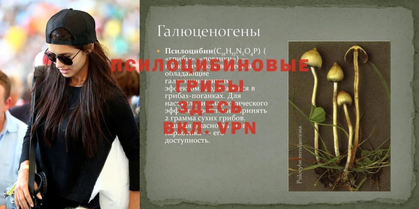 ПСИЛОЦИБИНОВЫЕ ГРИБЫ Навашино