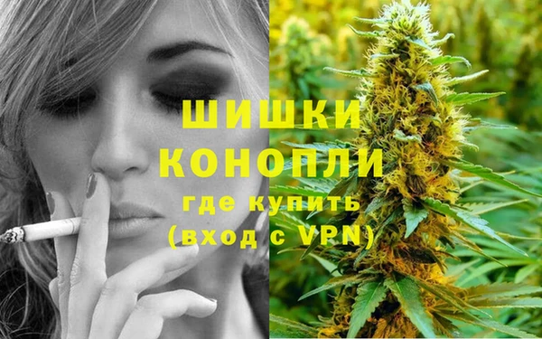 ПСИЛОЦИБИНОВЫЕ ГРИБЫ Навашино
