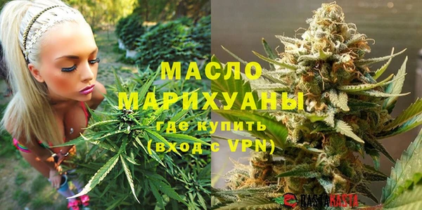 гидра Михайловка