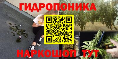 ГАЛЛЮЦИНОГЕННЫЕ ГРИБЫ Ипатово