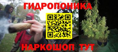 ГАЛЛЮЦИНОГЕННЫЕ ГРИБЫ Ипатово