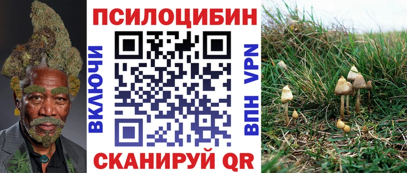 Псилоцибиновые грибы Magic Shrooms  Лосино-Петровский 