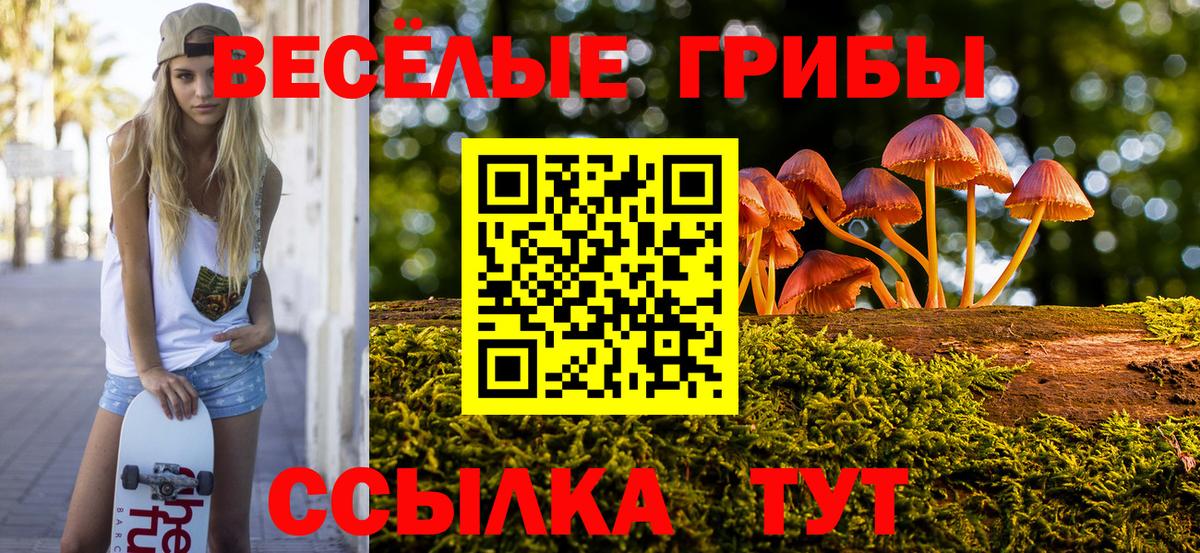Галлюциногенные грибы ЛСД  Вход с VPN  Лосино-Петровский 